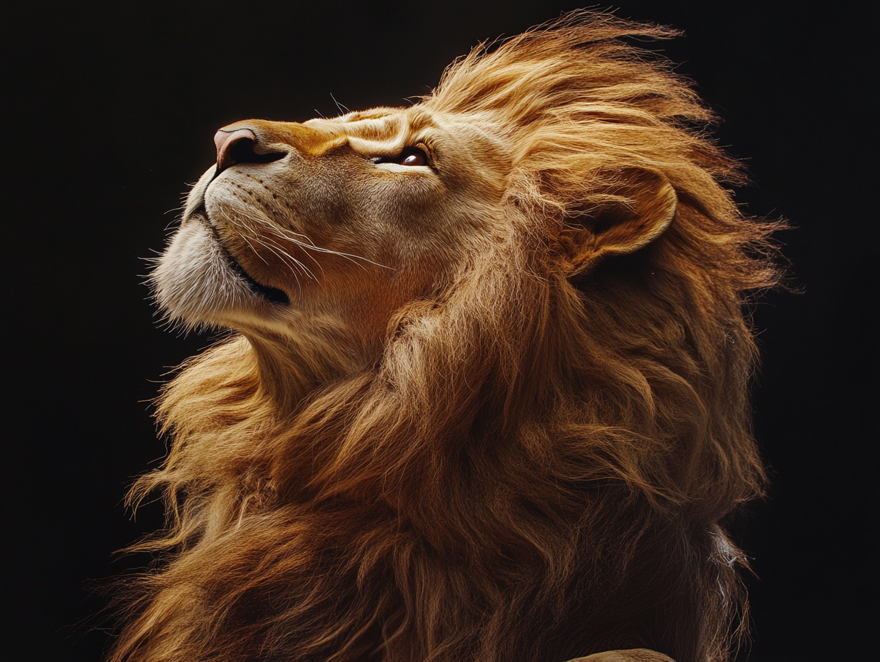 Eitan Research Consultant Logo